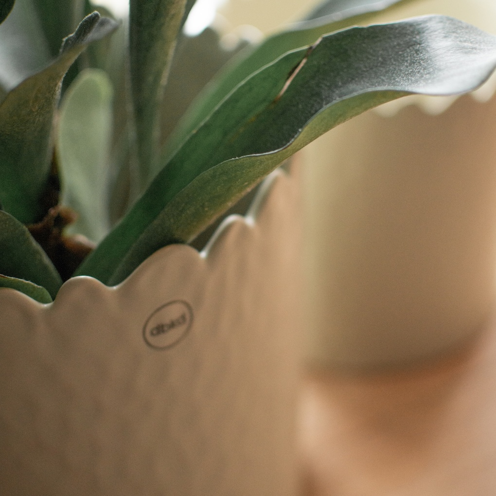 Topf Flowery groß -  Creme