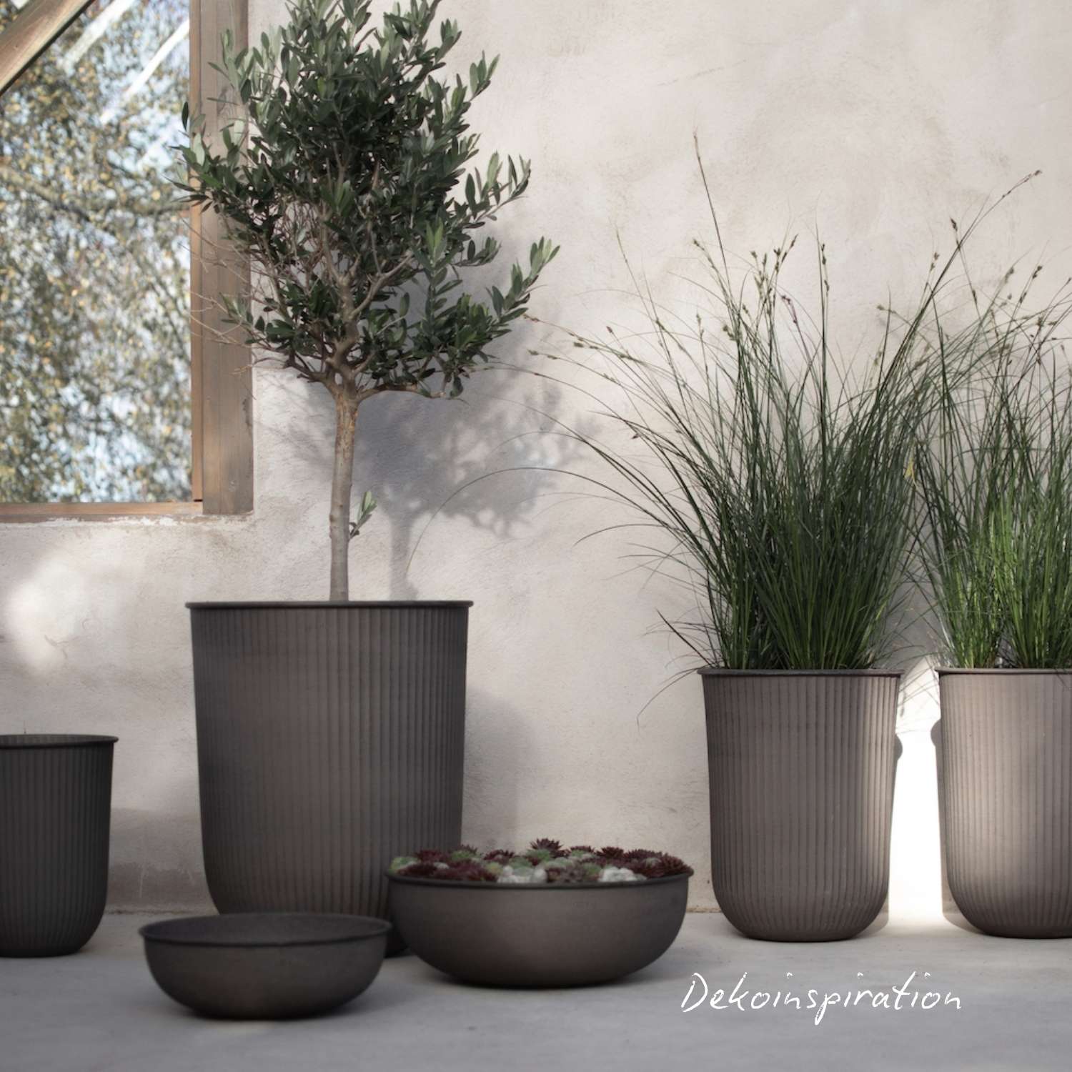 Out Stripe klein - Braun