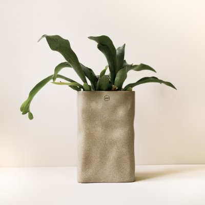 Vase Meadow groß - Beige