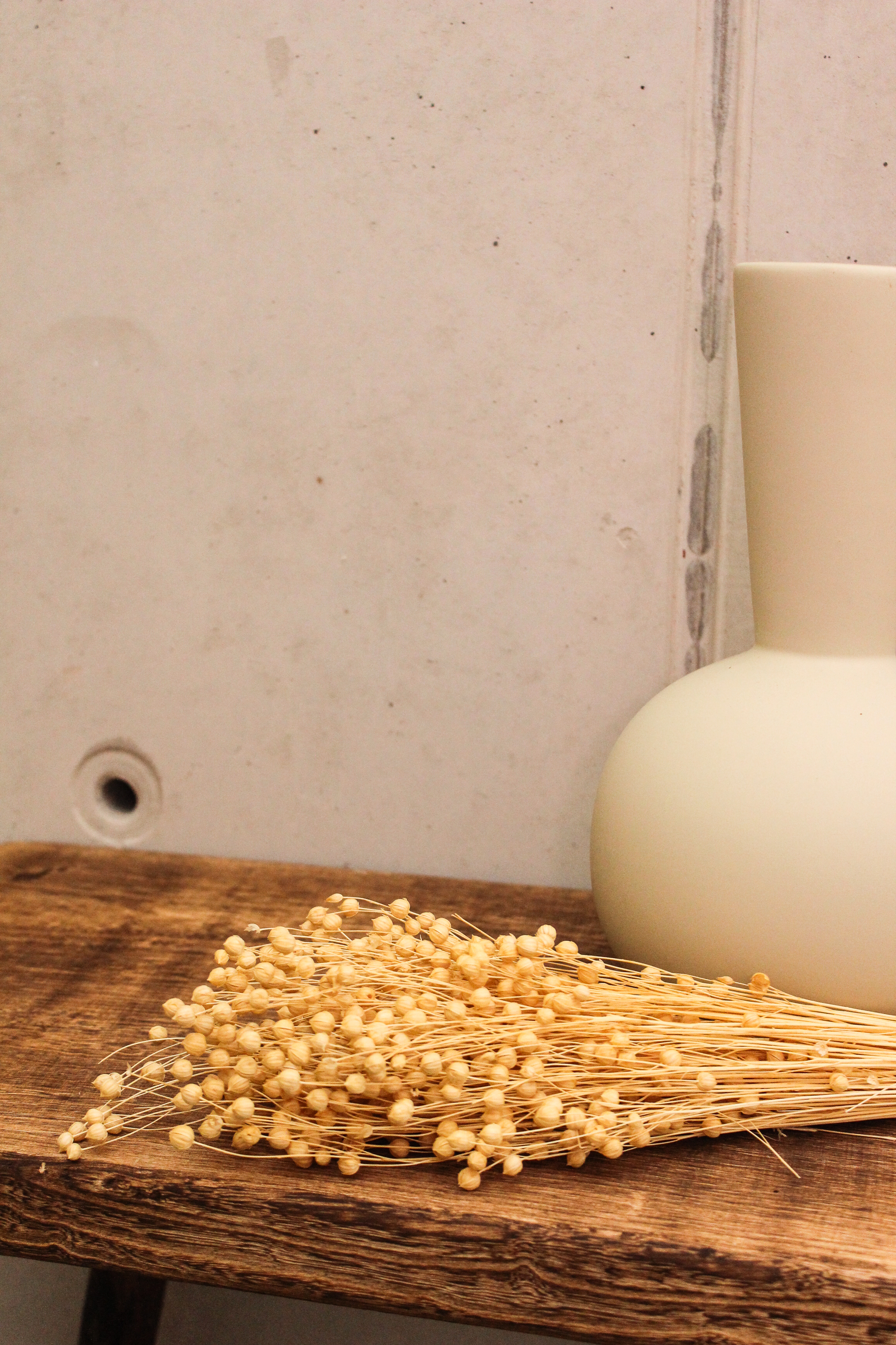 Flax Trockenblume im Bund