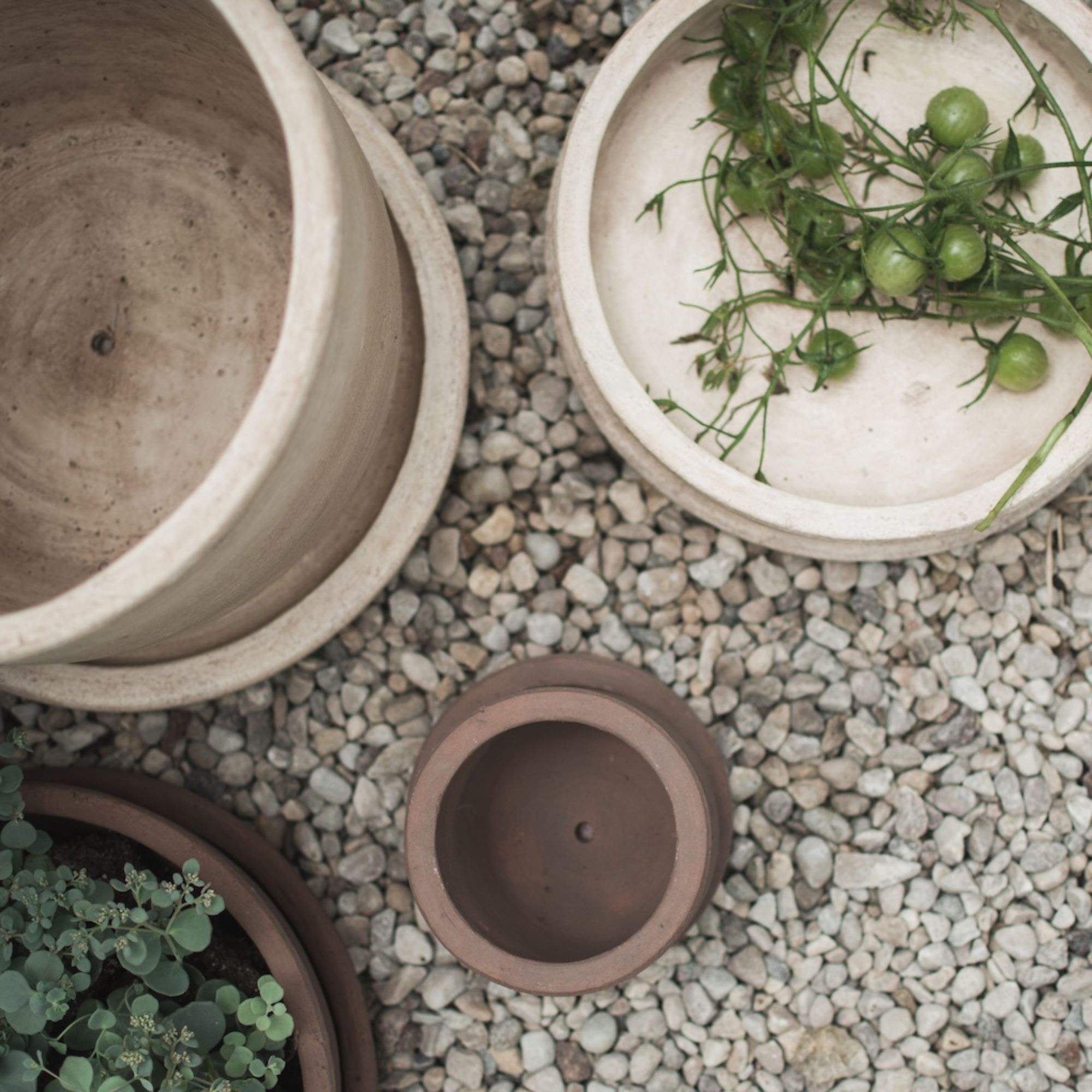 Terra Bowl - Sand