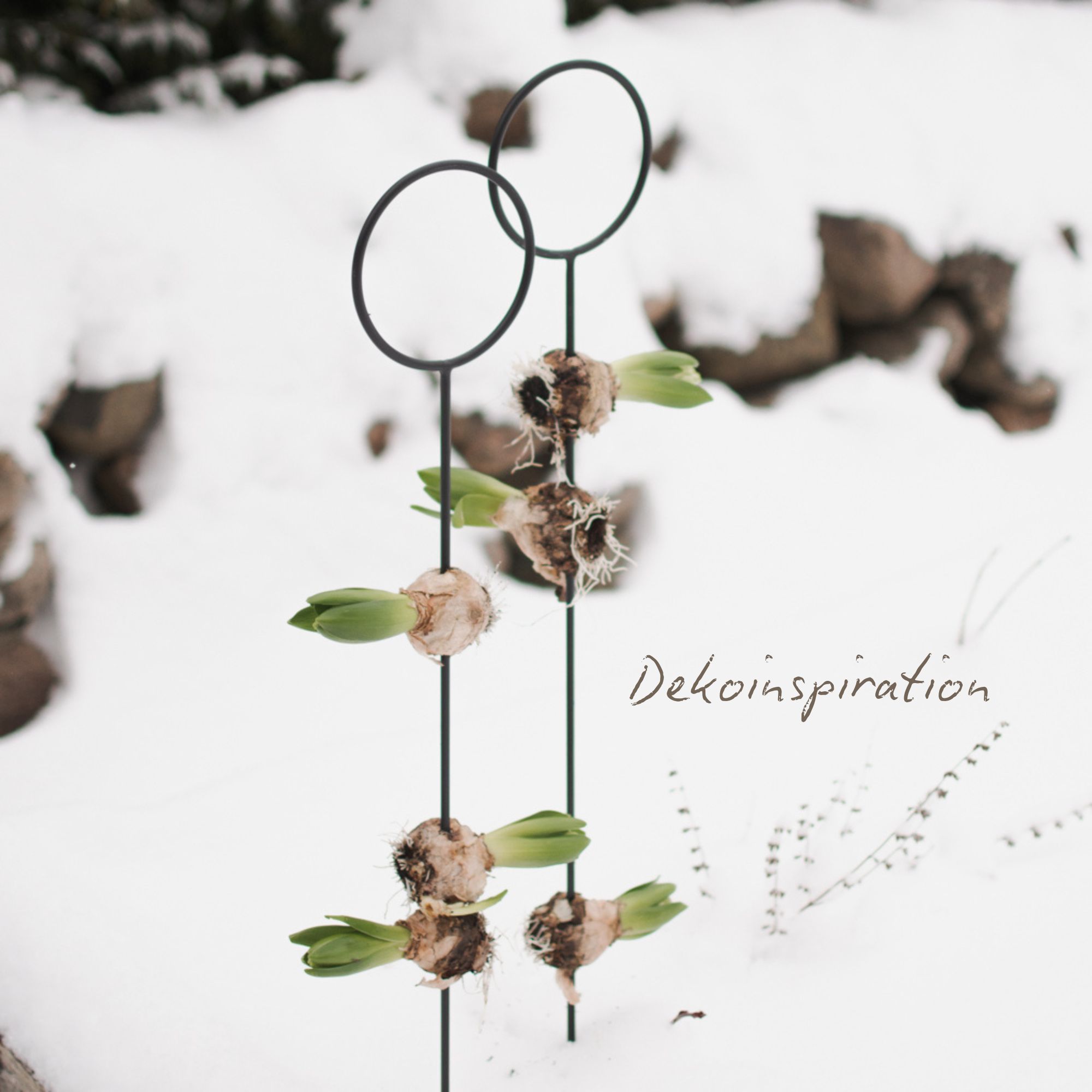 Gartenstecker mit Ring