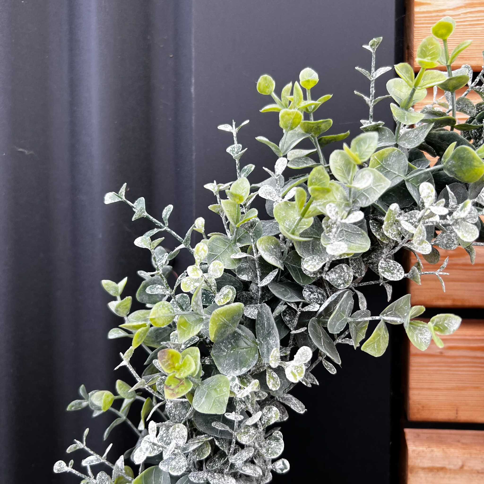 Eukalyptuskranz Nemo