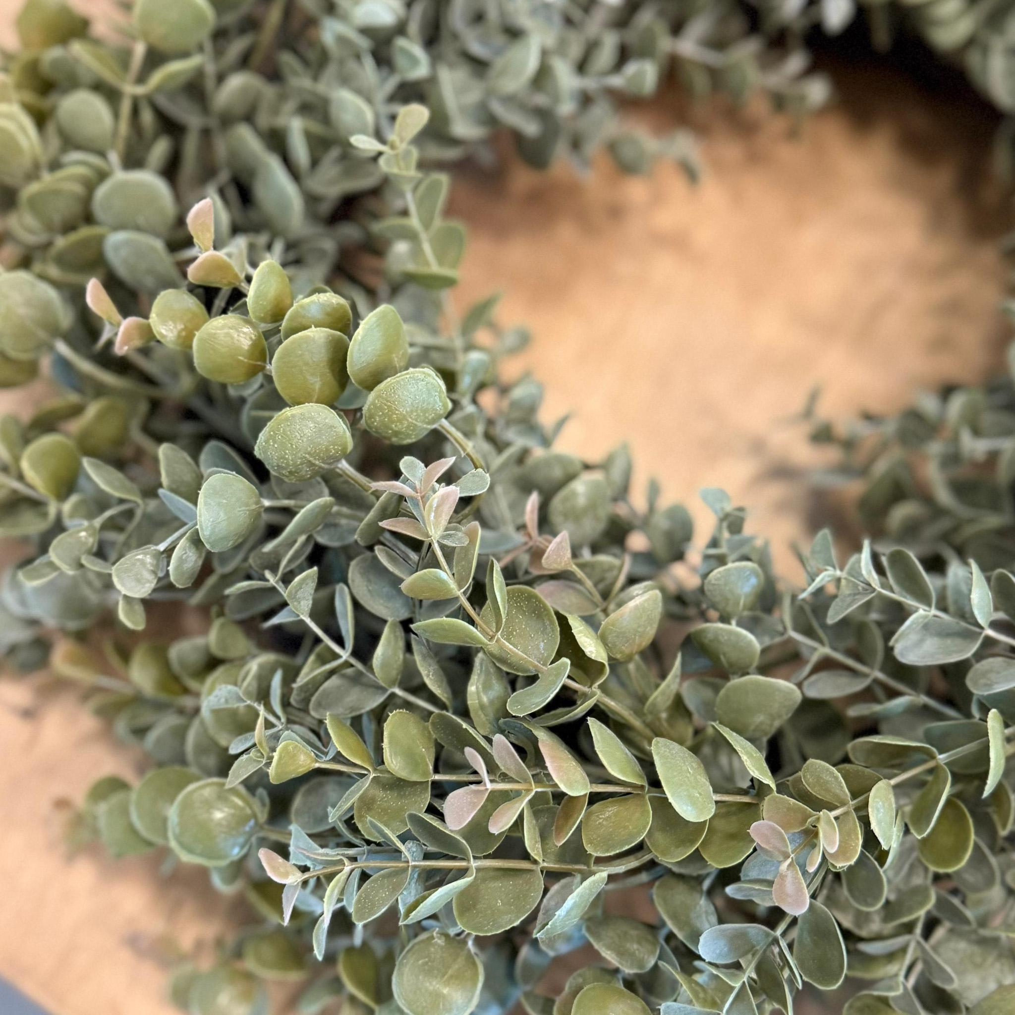 Eukalyptuskranz Jimmy