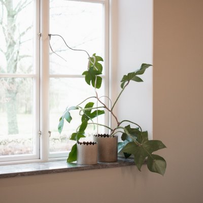 Topf Flowery klein - Beige