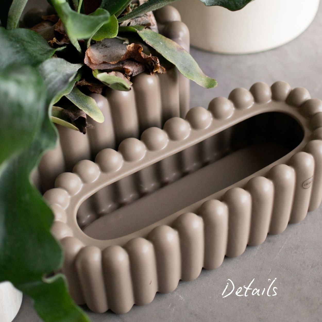 Schale Biskuit klein - Taupe