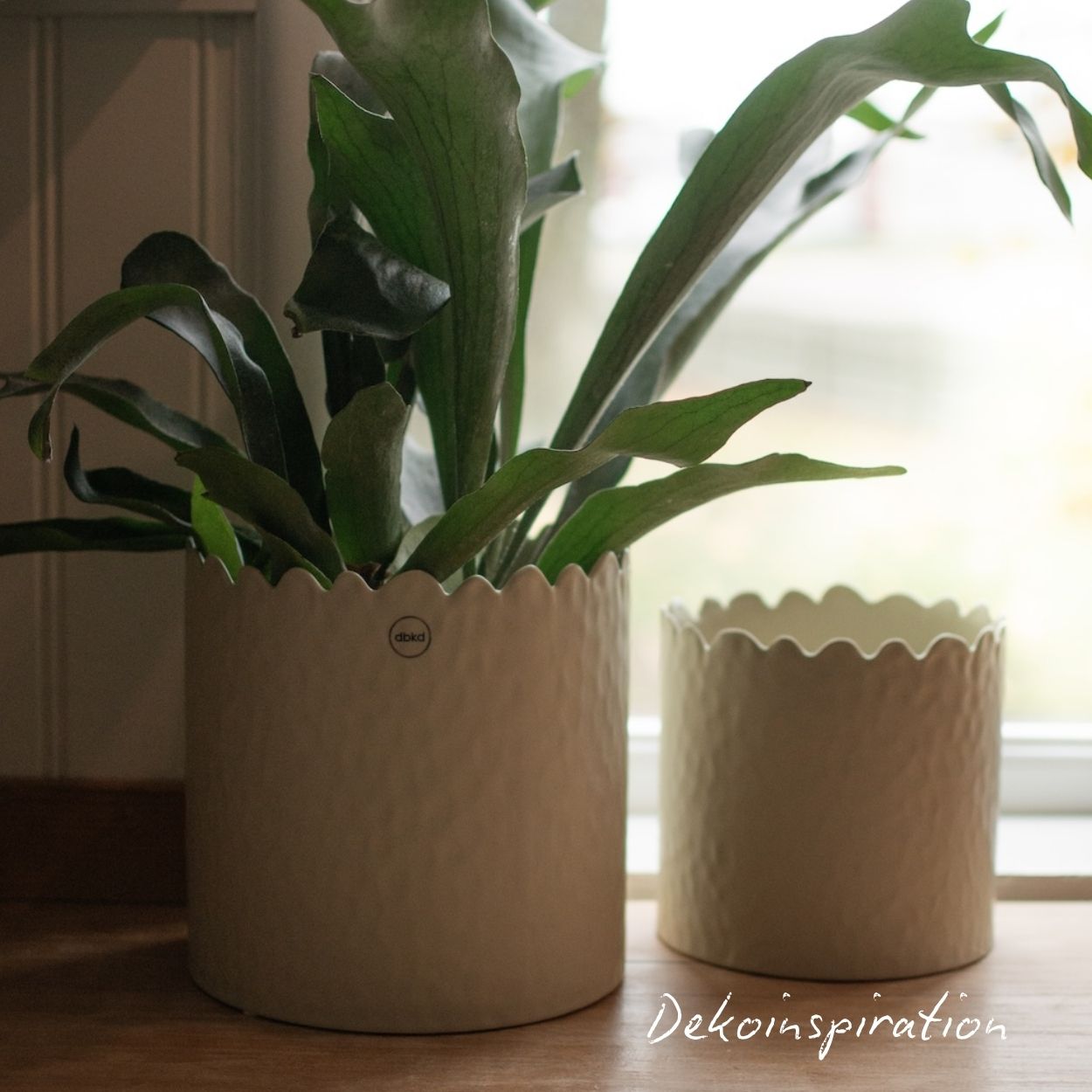 Topf Flowery groß - Creme