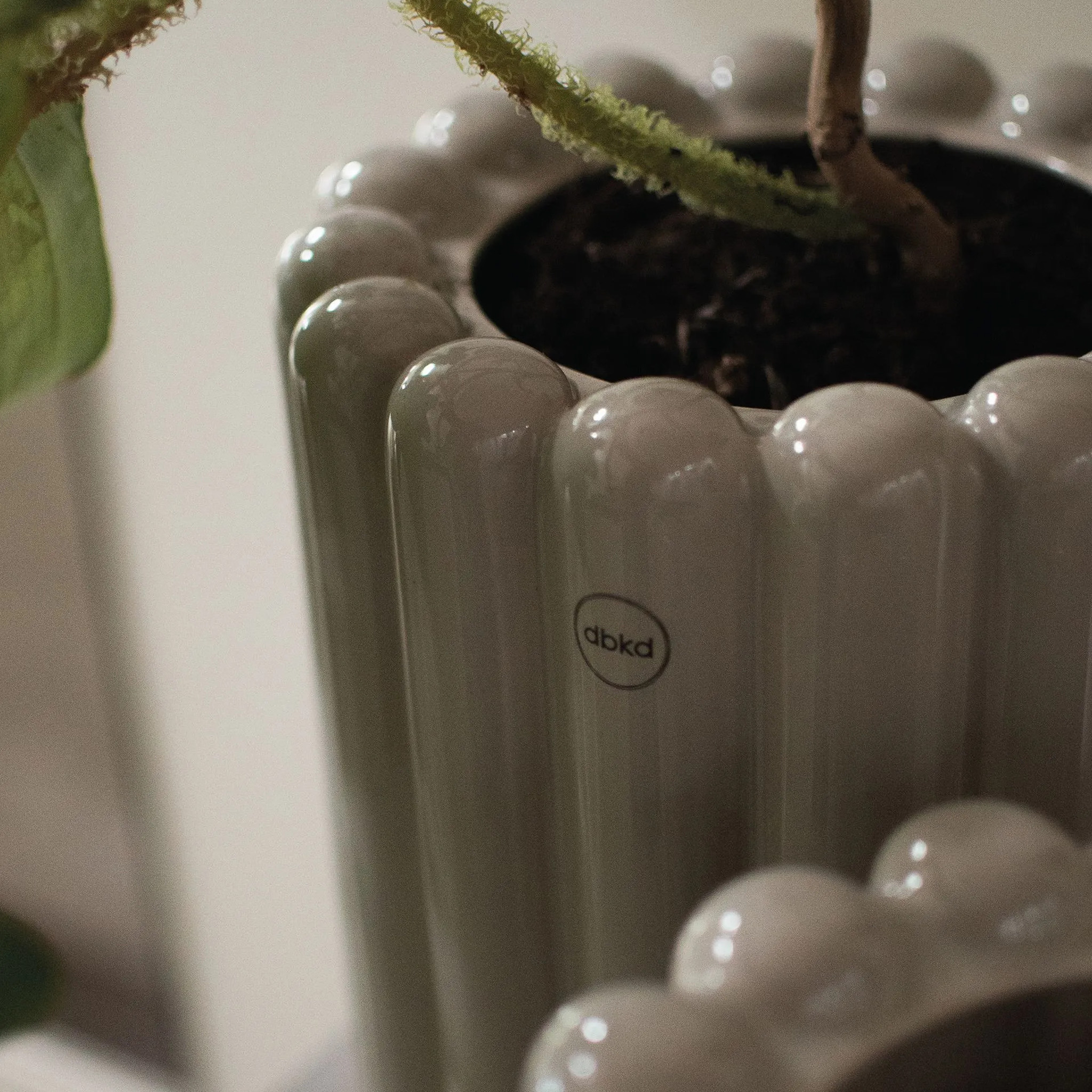 Topf Biskuit groß - Greige